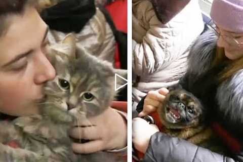 Some Refugees Fleeing Ukraine Are Taking Their Pets With Them