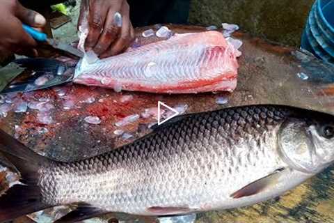 Catla Catla Live Fish Cutting | Catla Fish Skinless Cutting | How To Cutting Fish Skinless