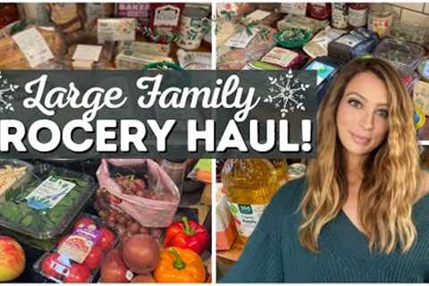 Large Family Grocery Haul | Cheap & Easy Recipes | Vlogmas