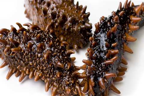 How is sea cucumber processed?