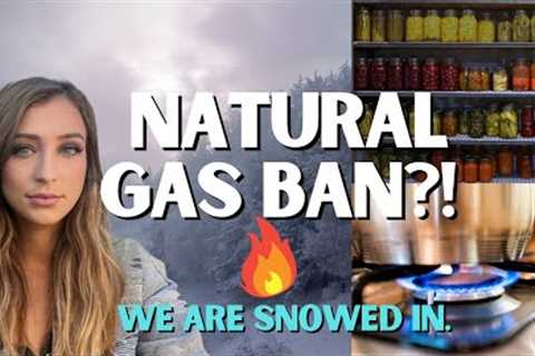 Natural Gas Ban?! | We Are Snowed In | Prepper Pantry Cooking