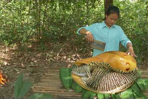 Monster Sea Snail Cooking In Rainforest - Giant Seafood Cooking Incredible