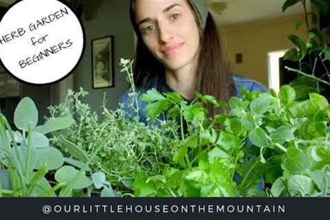 HERB GARDENS BEGINNERS GUIDE || HOW TO || GARDEN BASICS