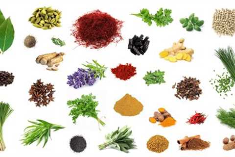 English Vocabulary - HERBS and SPICES