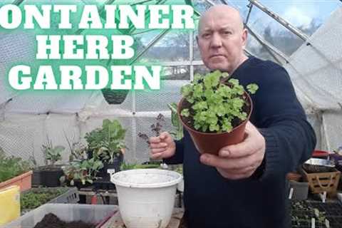 Container Herb Garden [Gardening Allotment UK] [Grow Vegetables At Home ]