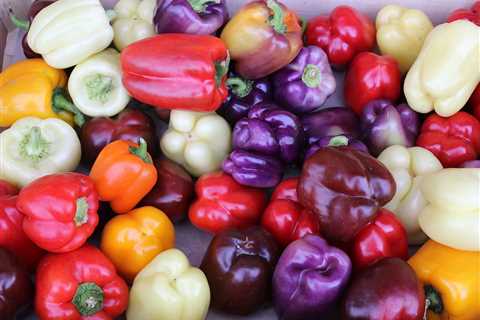 What Are the Different Types of Pepper and Their Flavors?