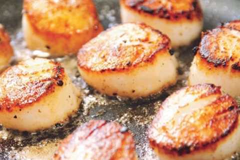 Are Dried Scallops a Nutritious Source of Omega-3 Fatty Acids?