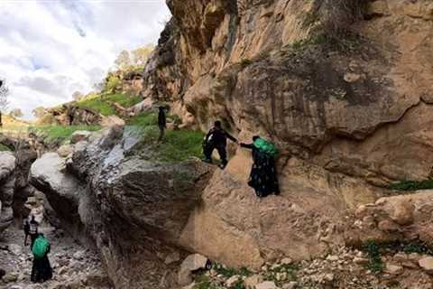 Picking herbal medicines in the mountains by a mother and her children, Iran 2023