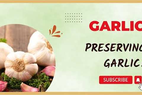 Preserving Garlic //  Jeni Gough