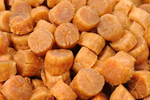 Are Dried Scallops a Nutritious Source of Omega-3 Fatty Acids?