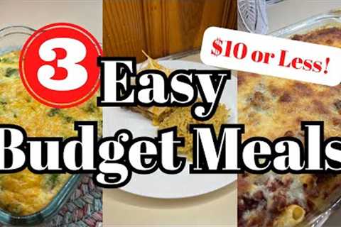 Feeding my family for only $10! 3 EASY BUDGET MEALS || $10 Dinners