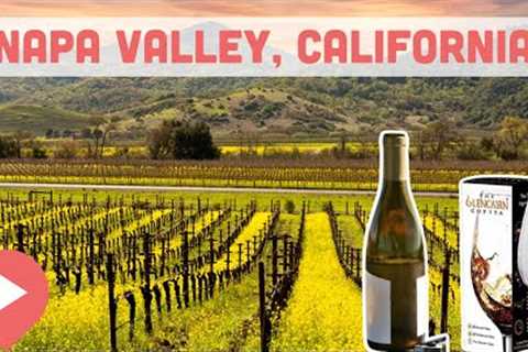 Best Wineries in Napa Valley, California