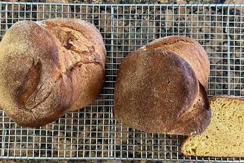 Pane di Altamura - The Italian Baker - Carol Field