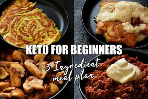 Keto for Beginners - 3 Ingredient Keto Meal Plan #2 | How to start Keto | Free Keto Meal Plan