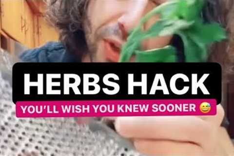 Quick Herbs Hack | Cooking Trick | Creative Explained #shorts