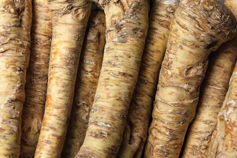 Pungent Horseradish - The Fiery Root With a Kick!