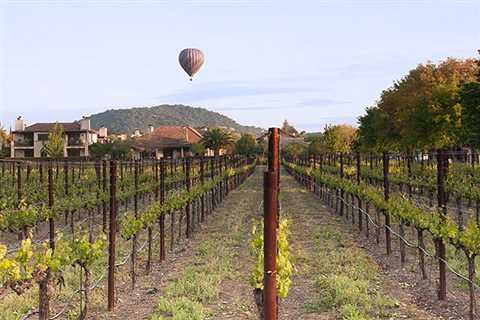 April in Wine Country = Fun