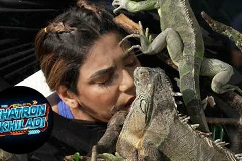 Frogs, Iguanas and the Spices Heist! - Khatron Ke Khiladi S13