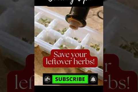 Save your leftover herbs!  #cooking #cookingtips #cookingtipsandtricks #shorts