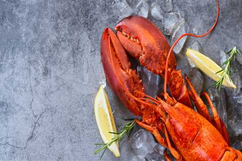 Lobster: Everything You Need to Know