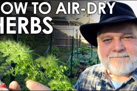 How to Air Dry Herbs - Start to Finish || Black Gumbo