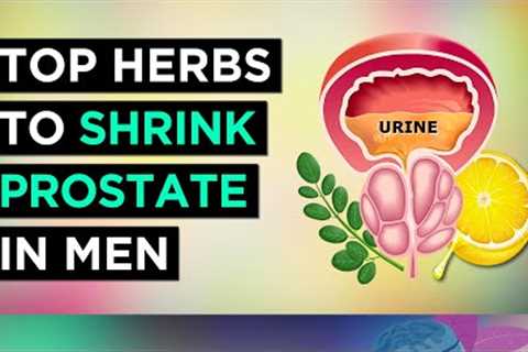 The Best Herbs To TREAT Enlarged Prostate (BPH)