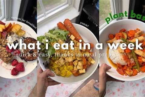 🌱✨ Plant Based What I eat in a week ✨ *realistic*  & easy  thanks to Meal Prep! 🌱