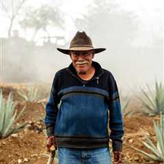 The Mezcal Boom and the Lives of the Families Who Make It