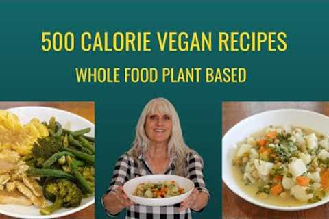 500 Calorie Vegan Recipes/ Whole Food Plant Based