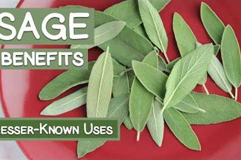 Sage Leaf Benefits, Two Lesser-Known Herbal Uses