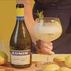 Mix Summer Sips with Zonin Coastal Lemon Spritz