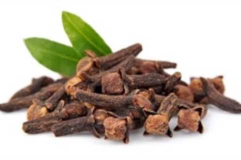 10 Spicy Facts About Cloves