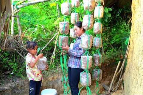 The spirit of mother and child harvesting bananas and beans