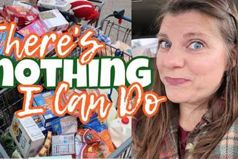 This Could''ve Been A HUGE GROCERY HAUL | November Groceries From Walmart | Aldi | KwikTrip