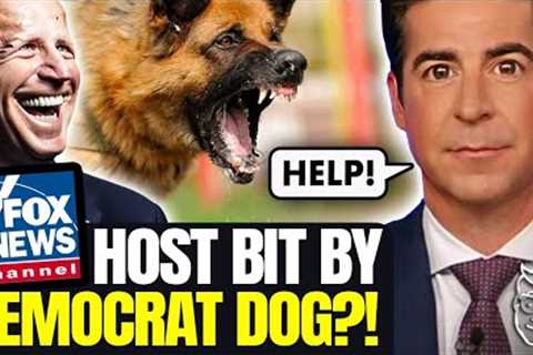 Fox News Anchor ATTACKED By Rabid ''Democrat'' Dog: ''Bit Me In The Balls!''  👀 🐺