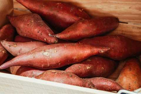 How Long Can You Store Sweet Potatoes? Get the Answer! - Flank Waltham