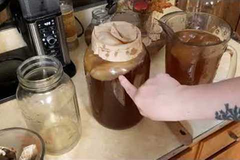 How To Make Kombucha Tea At Home || Fermented Drink