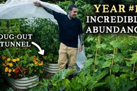 This Amazing Urban Vegetable Garden is ONLY 6 Months Old!