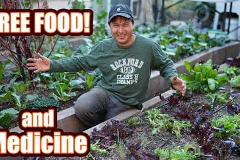 Ageless Vegas Man living off backyard plants for 30 years