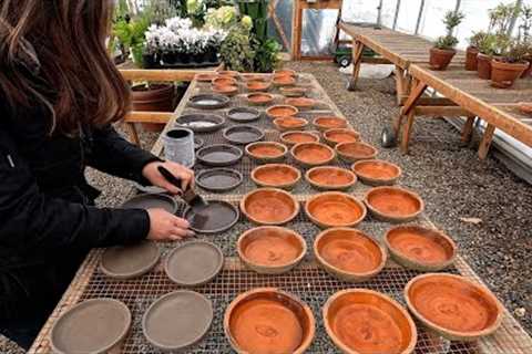 Sealing Terra Cotta Saucers & Thinning Radishes! 🙌💚🌱 // Garden Answer