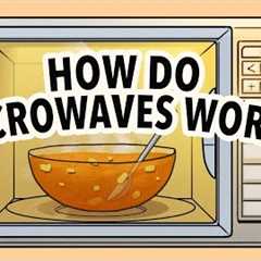 Why can't you put metal in a microwave? - Aaron Slepkov