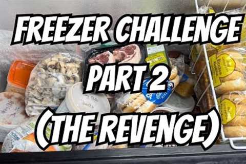 Freezer Challenge : Pantry Challenge Part 2