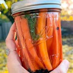 Quick Pickled Carrots