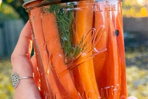 Quick Pickled Carrots