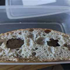 What causes these huge holes and flat loaf?