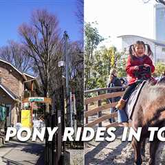 Yoyogi Pony Park – Free Pony Rides For Children In Tokyo