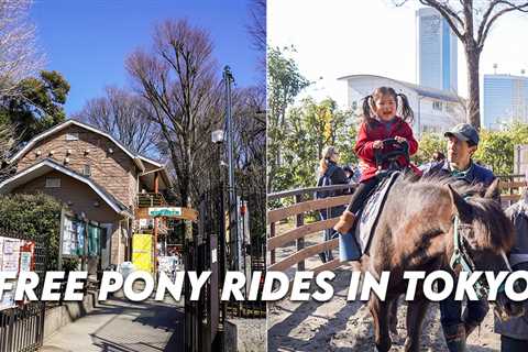 Yoyogi Pony Park – Free Pony Rides For Children In Tokyo