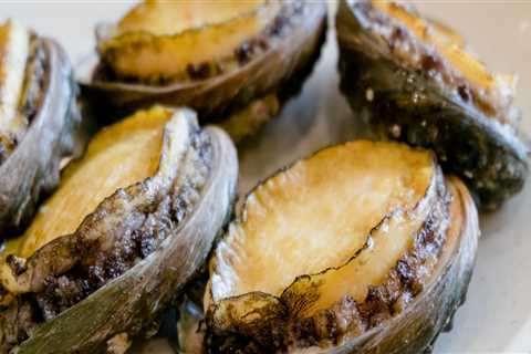 Why is Wild canned Abalone So Expensive?