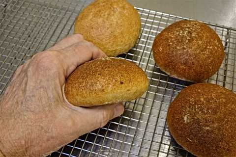 Sonoran Oatmeal Sourdough Sandwich Buns