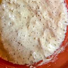 How to Make a Sourdough Starter